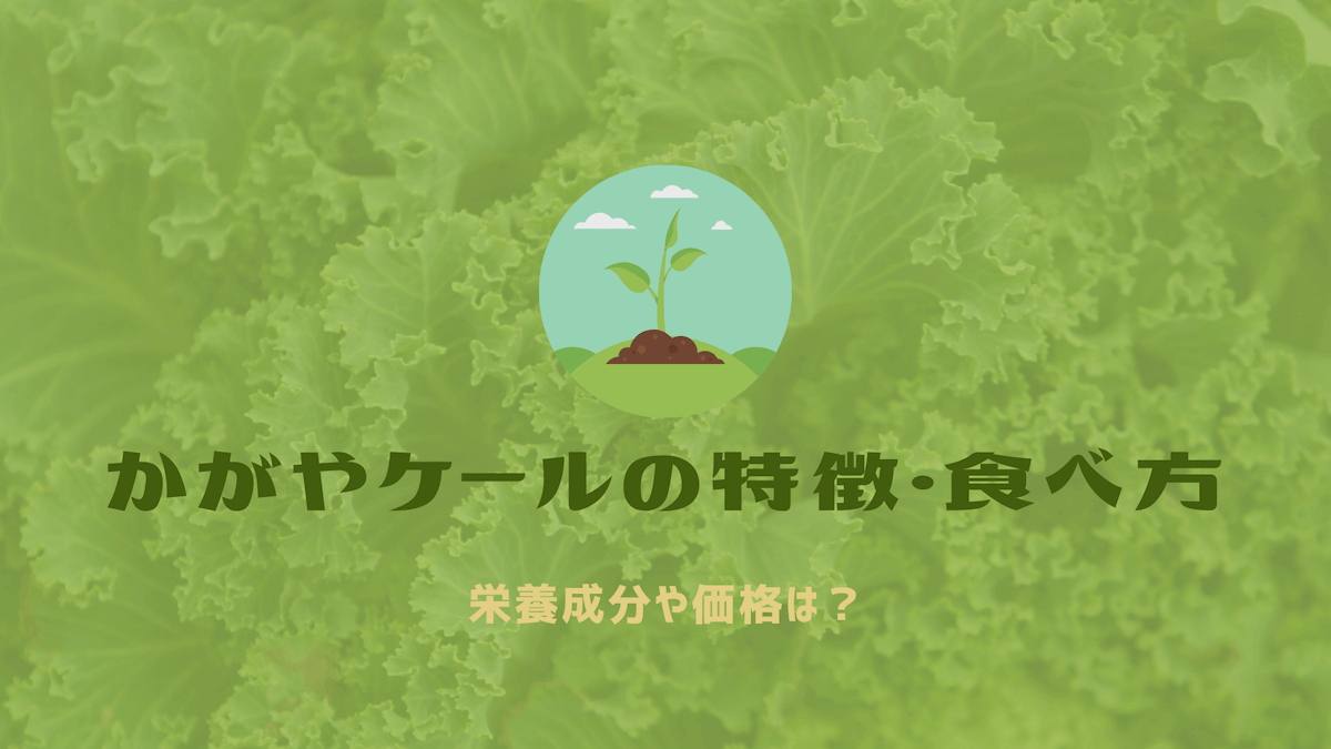 Oisixかがやケールの特徴と美味しい食べ方 栄養 価格 オイシックスで時短ライフ